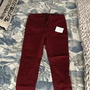 Red/Garnet Judy blues